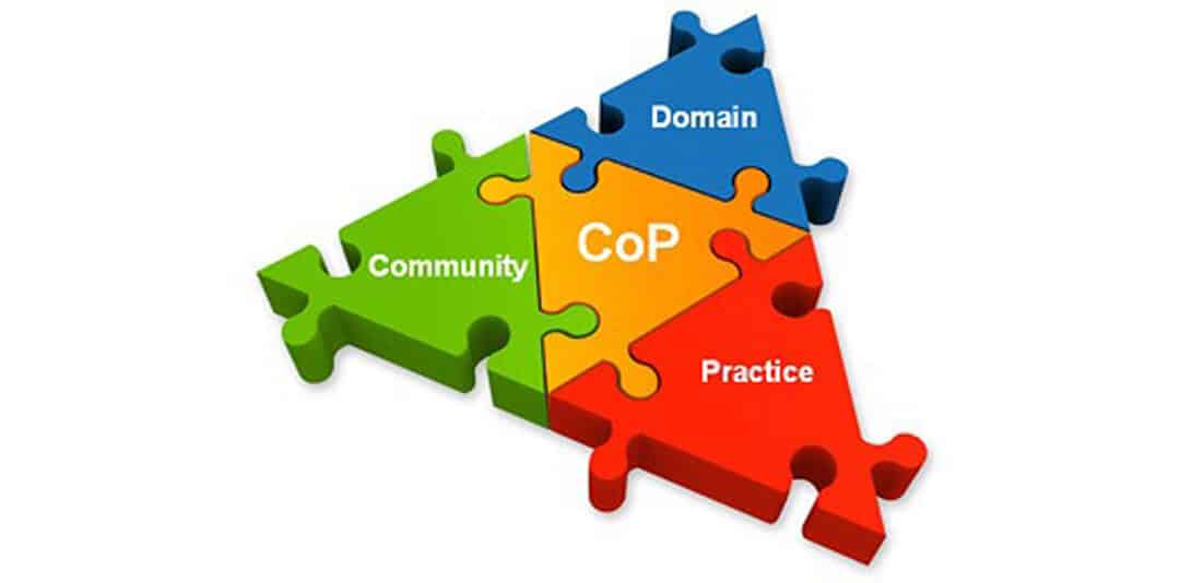 Communities of Practice: The Three Essential Elements