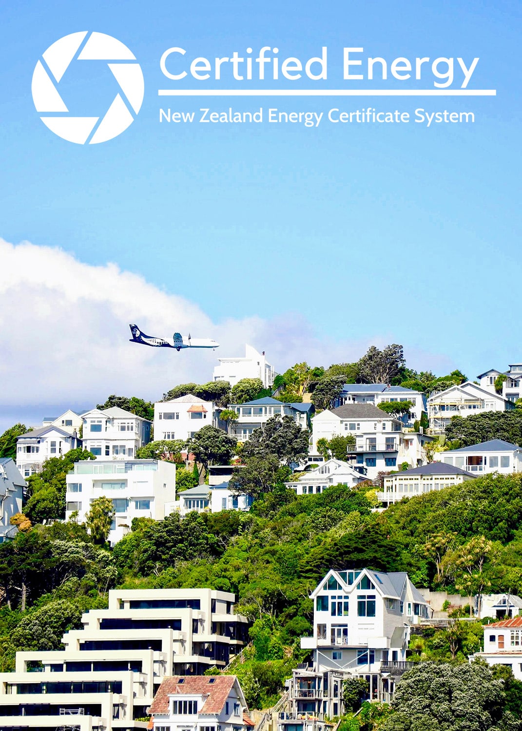NZEC logo with a picture of a hill in Wellington, New Zealand