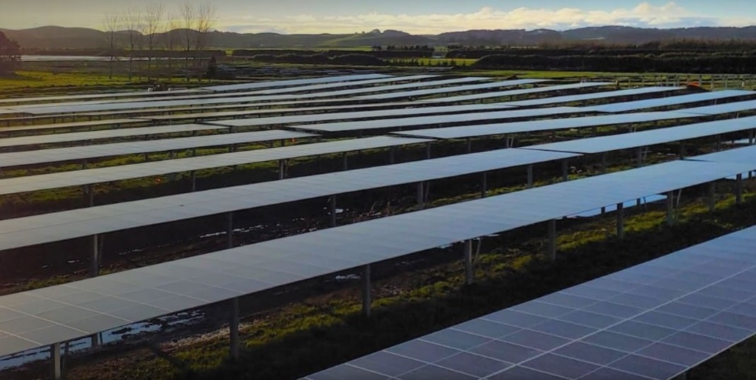 Total Utilities Joins Lodestone Energy to Celebrate Grid-Scale Solar Farm Launch
